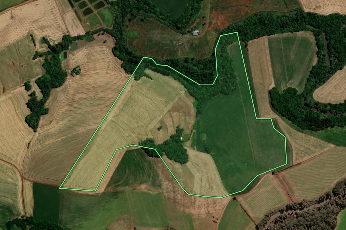Imagem de satélite do imóvel rural em Não-Me-Toque (RS), com o contorno declarado no CAR desenhado por cima.