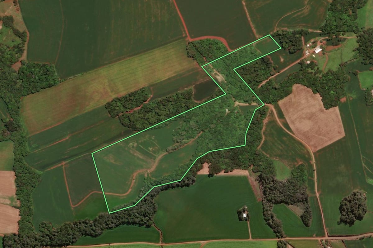 Imagem de satélite do imóvel rural em Não-Me-Toque (RS), com o contorno declarado no CAR desenhado por cima.