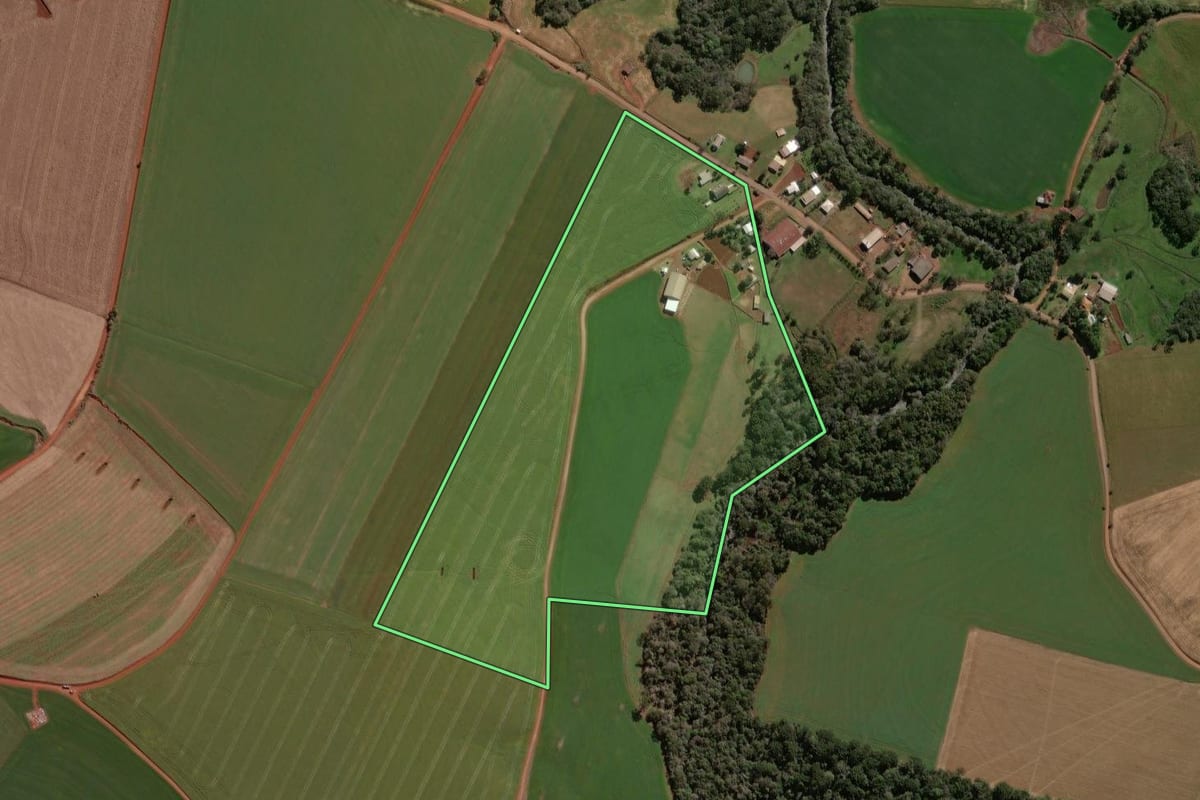 Imagem de satélite do imóvel rural em Não-Me-Toque (RS), com o contorno declarado no CAR desenhado por cima.