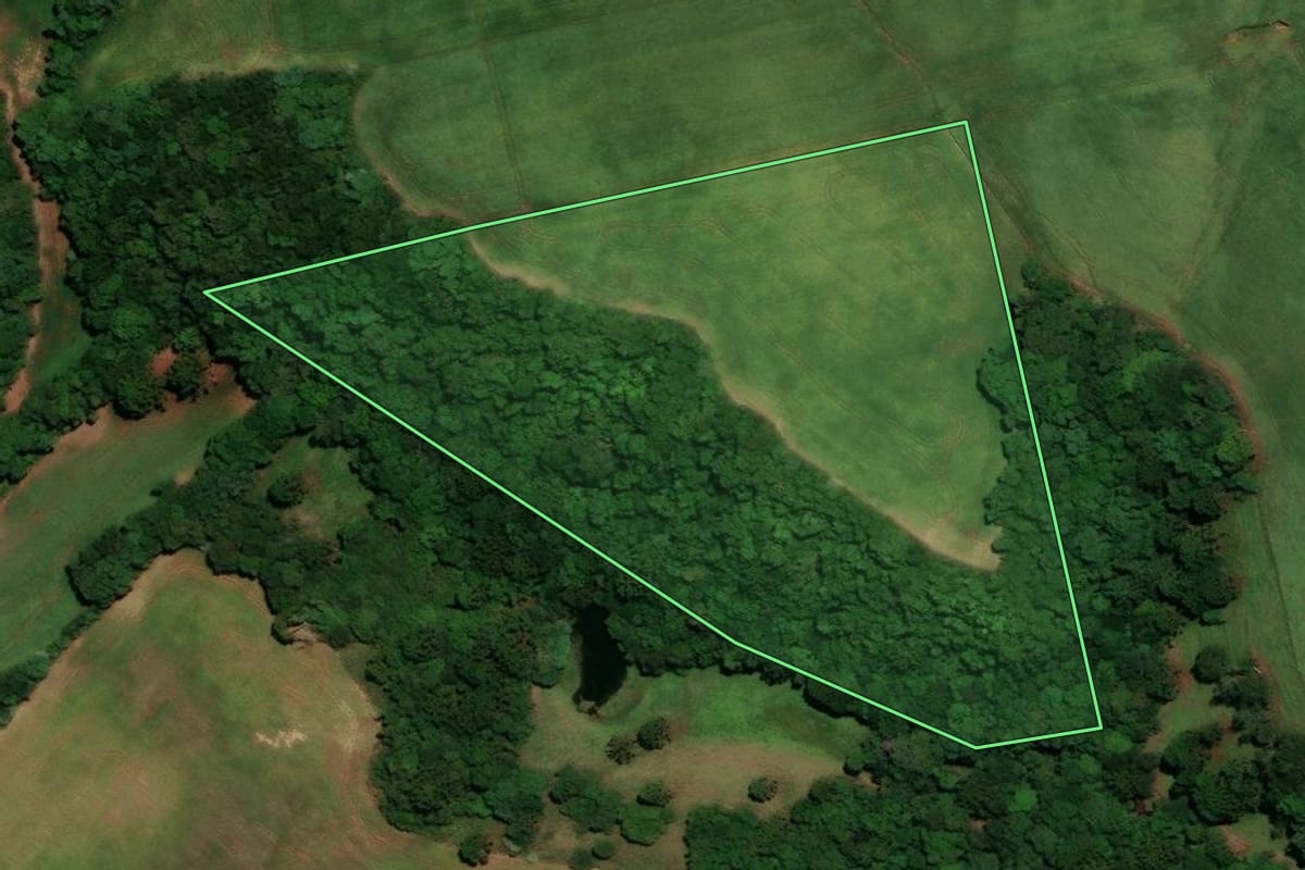 Imagem de satélite do imóvel rural em Não-Me-Toque (RS), com o contorno declarado no CAR desenhado por cima.