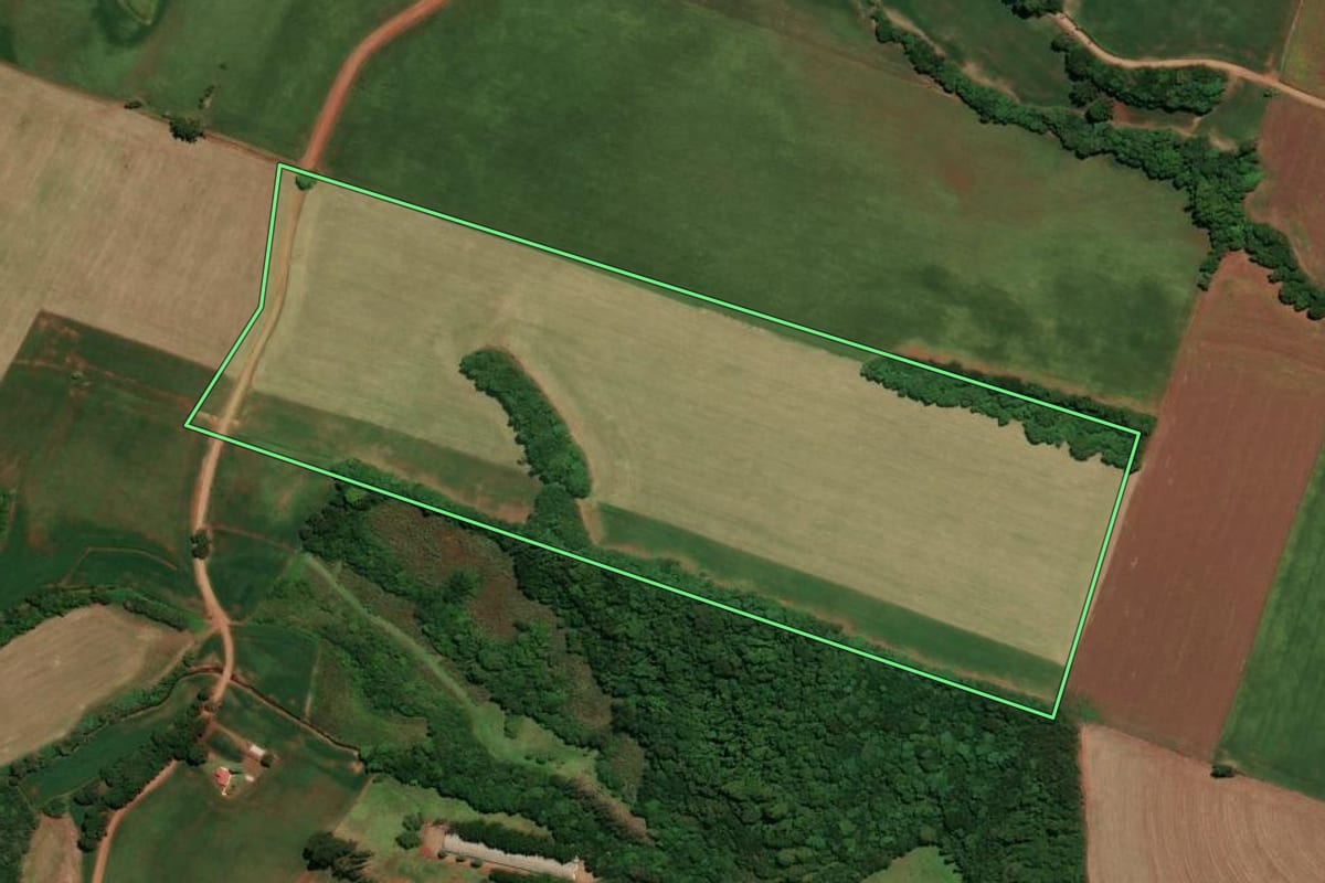 Imagem de satélite do imóvel rural em Não-Me-Toque (RS), com o contorno declarado no CAR desenhado por cima.