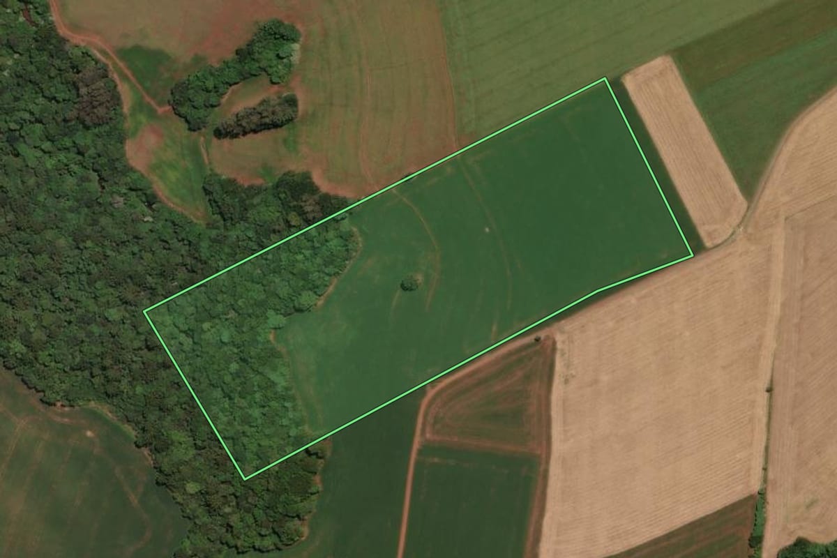 Imagem de satélite do imóvel rural em Não-Me-Toque (RS), com o contorno declarado no CAR desenhado por cima.