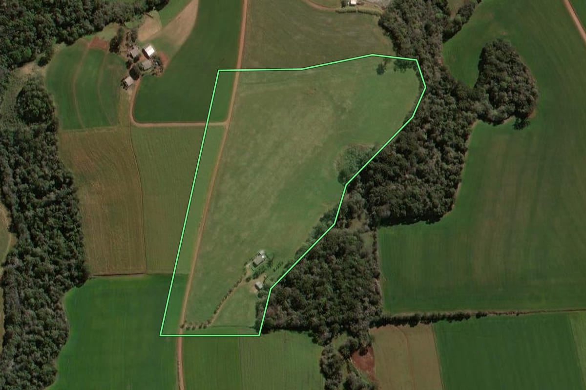 Imagem de satélite do imóvel rural em Não-Me-Toque (RS), com o contorno declarado no CAR desenhado por cima.