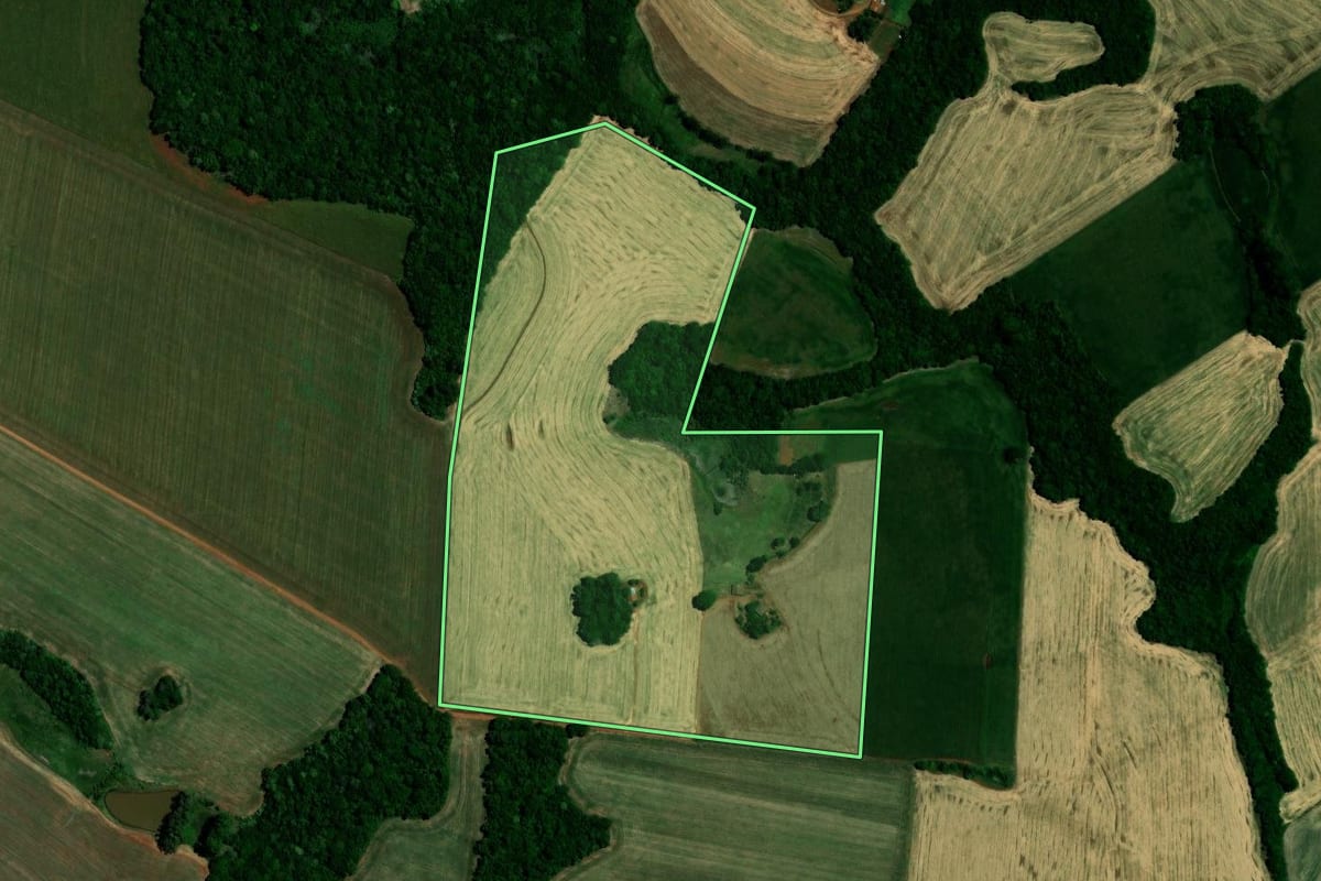 Imagem de satélite do imóvel rural em Não-Me-Toque (RS), com o contorno declarado no CAR desenhado por cima.