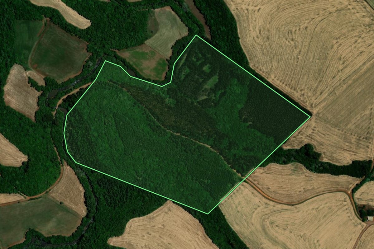 Imagem de satélite do imóvel rural em Não-Me-Toque (RS), com o contorno declarado no CAR desenhado por cima.