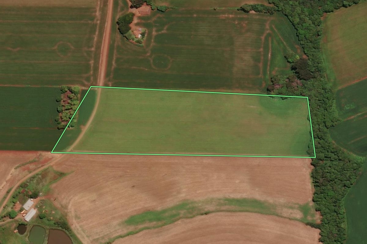 Imagem de satélite do imóvel rural em Não-Me-Toque (RS), com o contorno declarado no CAR desenhado por cima.