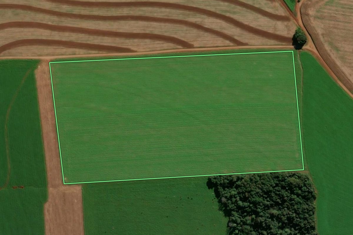 Imagem de satélite do imóvel rural em Nicolau Vergueiro (RS), com o contorno declarado no CAR desenhado por cima.