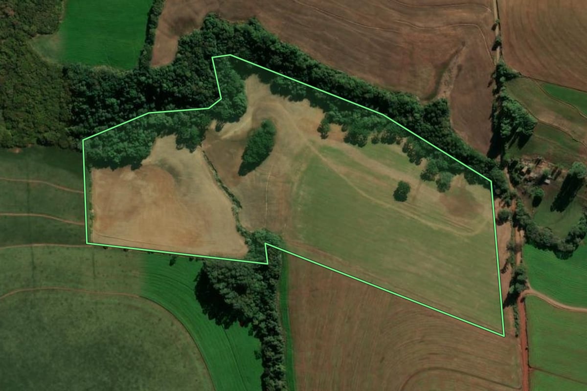 Imagem de satélite do imóvel rural em Nicolau Vergueiro (RS), com o contorno declarado no CAR desenhado por cima.
