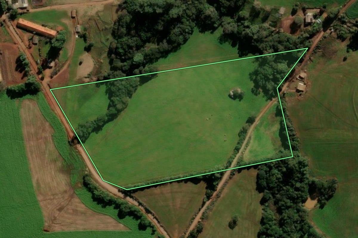 Imagem de satélite do imóvel rural em Nicolau Vergueiro (RS), com o contorno declarado no CAR desenhado por cima.