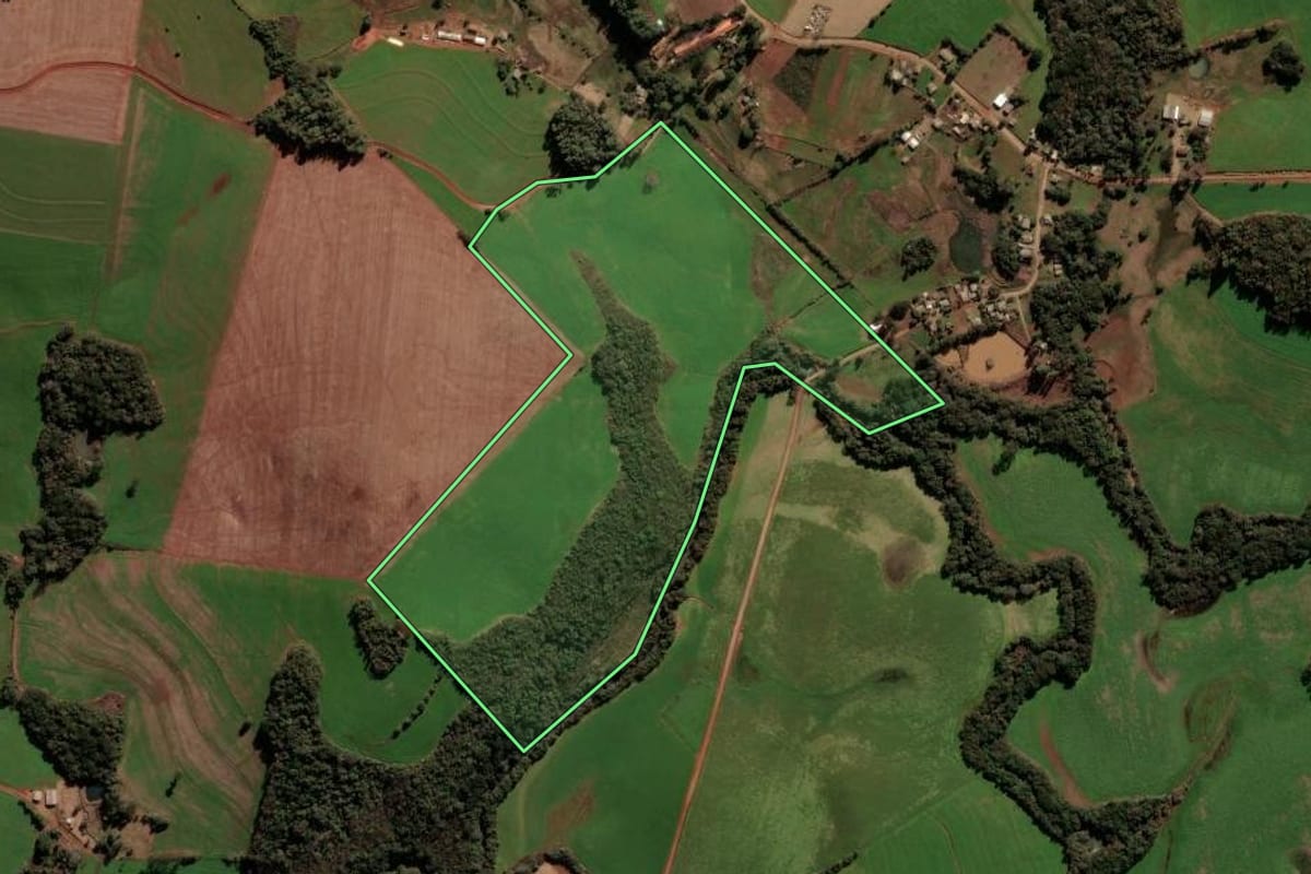 Imagem de satélite do imóvel rural em Nicolau Vergueiro (RS), com o contorno declarado no CAR desenhado por cima.
