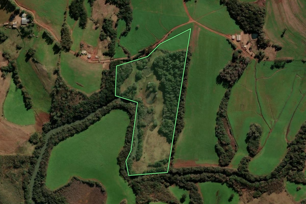 Imagem de satélite do imóvel rural em Nicolau Vergueiro (RS), com o contorno declarado no CAR desenhado por cima.