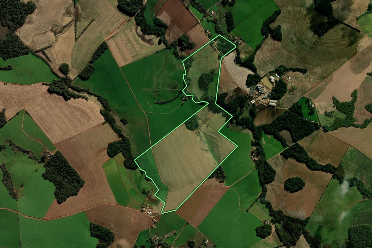 Imagem de satélite do imóvel rural em Nicolau Vergueiro (RS), com o contorno declarado no CAR desenhado por cima.
