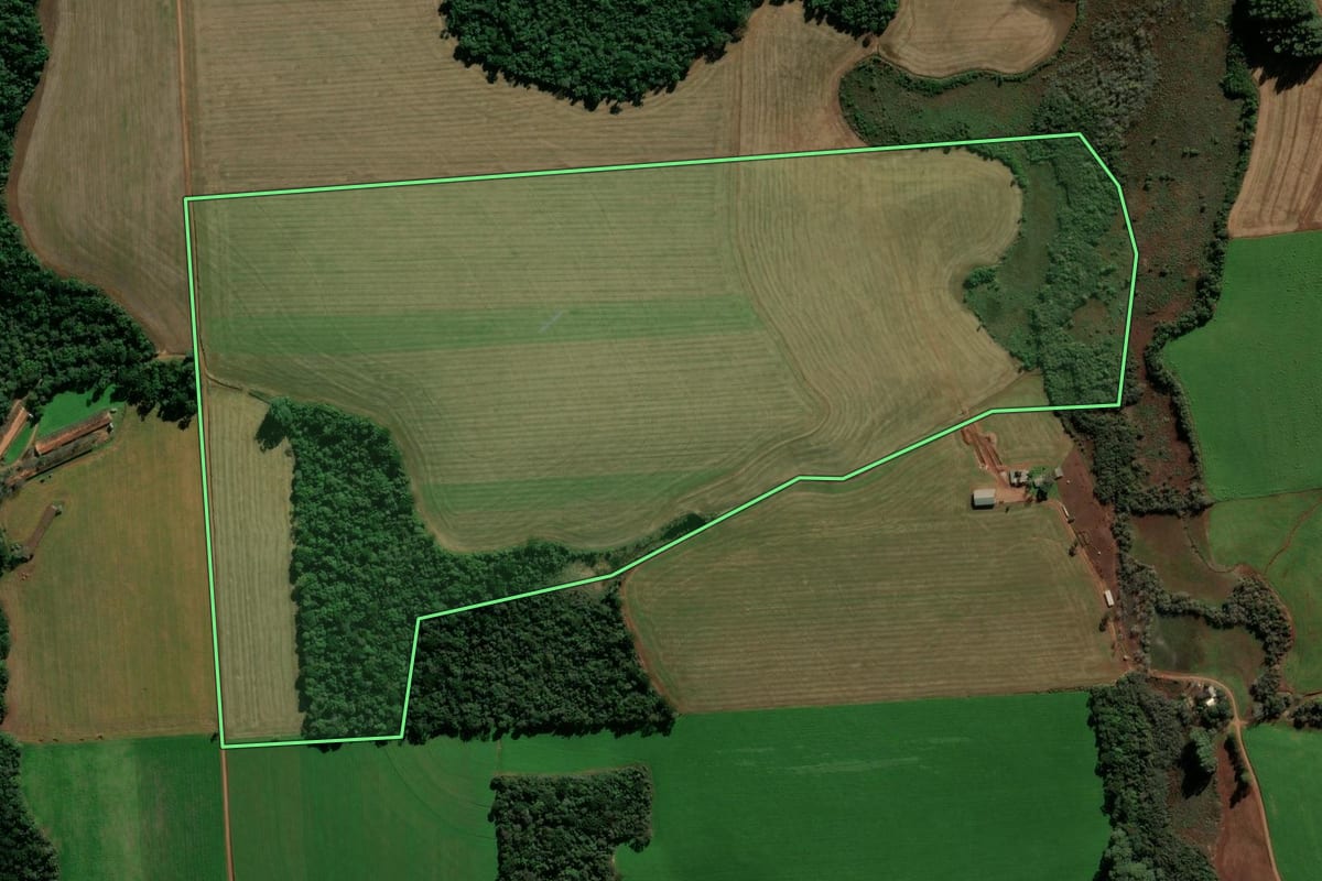 Imagem de satélite do imóvel rural em Nicolau Vergueiro (RS), com o contorno declarado no CAR desenhado por cima.