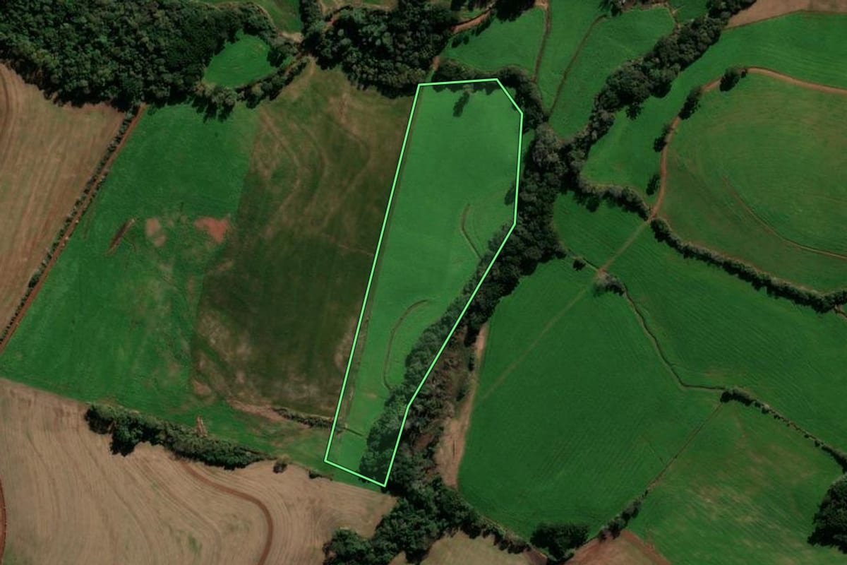 Imagem de satélite do imóvel rural em Nicolau Vergueiro (RS), com o contorno declarado no CAR desenhado por cima.