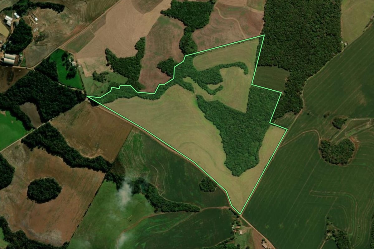 Imagem de satélite do imóvel rural em Nicolau Vergueiro (RS), com o contorno declarado no CAR desenhado por cima.