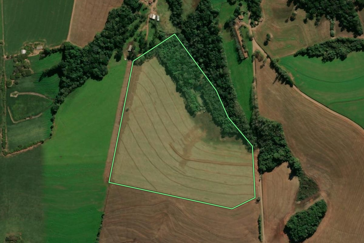 Imagem de satélite do imóvel rural em Nicolau Vergueiro (RS), com o contorno declarado no CAR desenhado por cima.