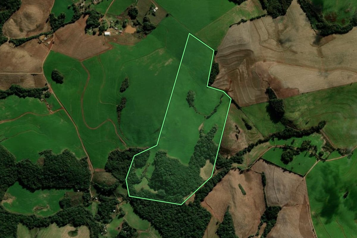 Imagem de satélite do imóvel rural em Nicolau Vergueiro (RS), com o contorno declarado no CAR desenhado por cima.