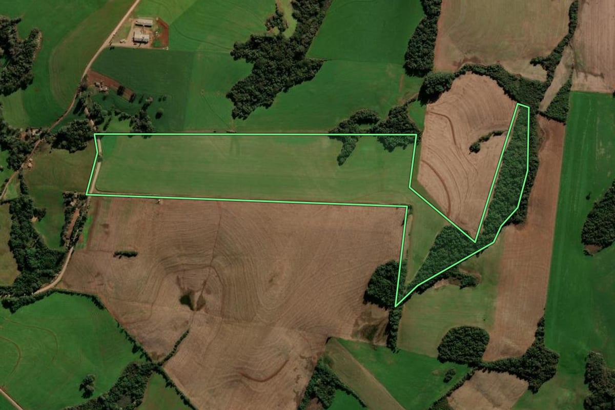 Imagem de satélite do imóvel rural em Nicolau Vergueiro (RS), com o contorno declarado no CAR desenhado por cima.