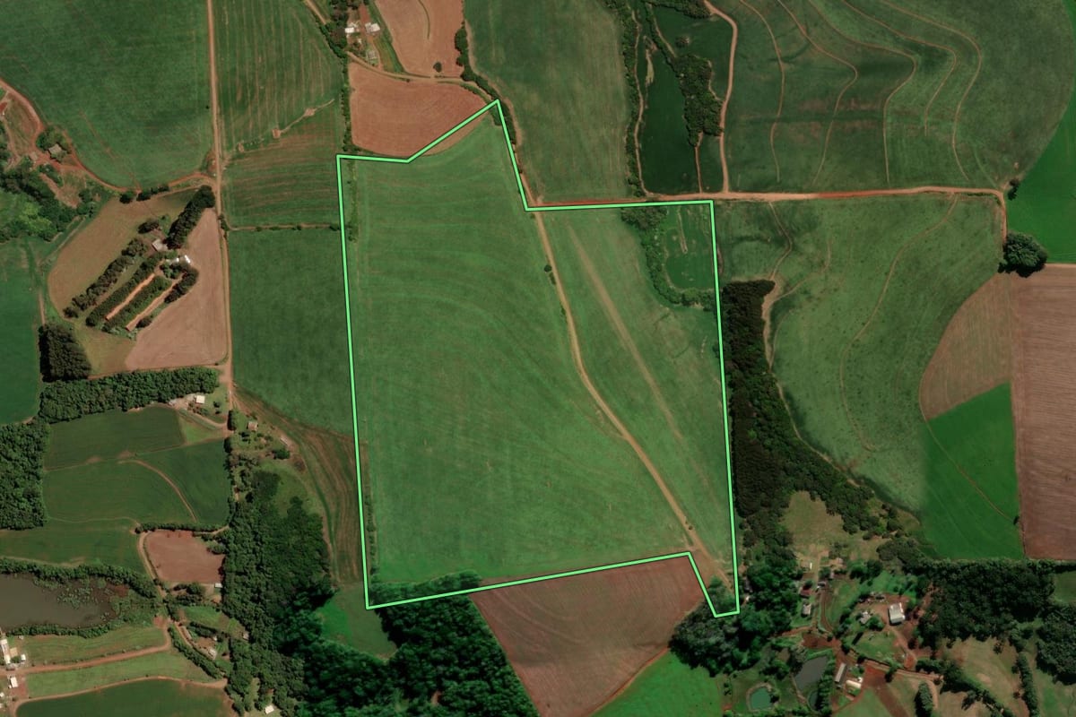 Imagem de satélite do imóvel rural em Nicolau Vergueiro (RS), com o contorno declarado no CAR desenhado por cima.