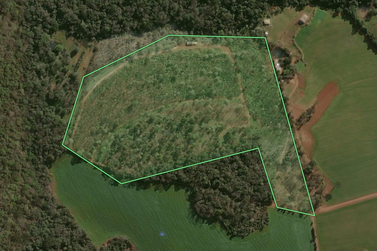 Imagem de satélite do imóvel rural em Nonoai (RS), com o contorno declarado no CAR desenhado por cima.