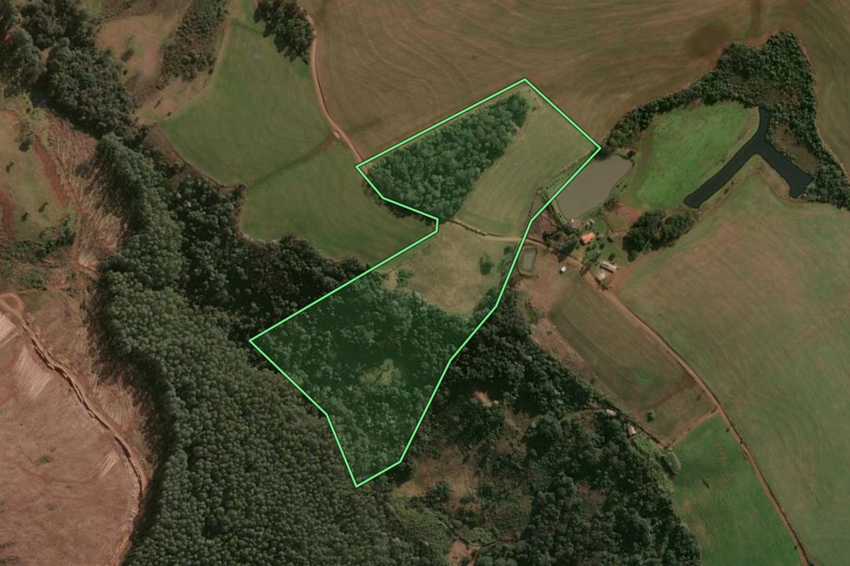 Imagem de satélite do imóvel rural em Nonoai (RS), com o contorno declarado no CAR desenhado por cima.