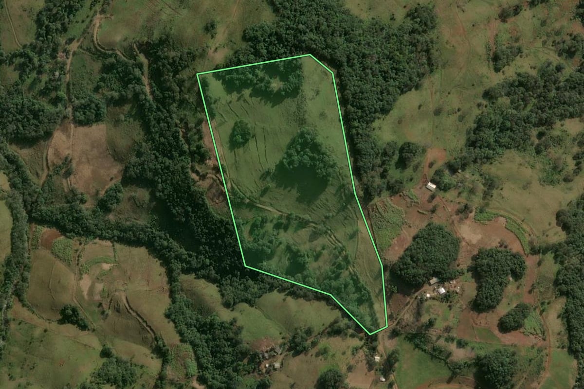 Imagem de satélite do imóvel rural em Nonoai (RS), com o contorno declarado no CAR desenhado por cima.