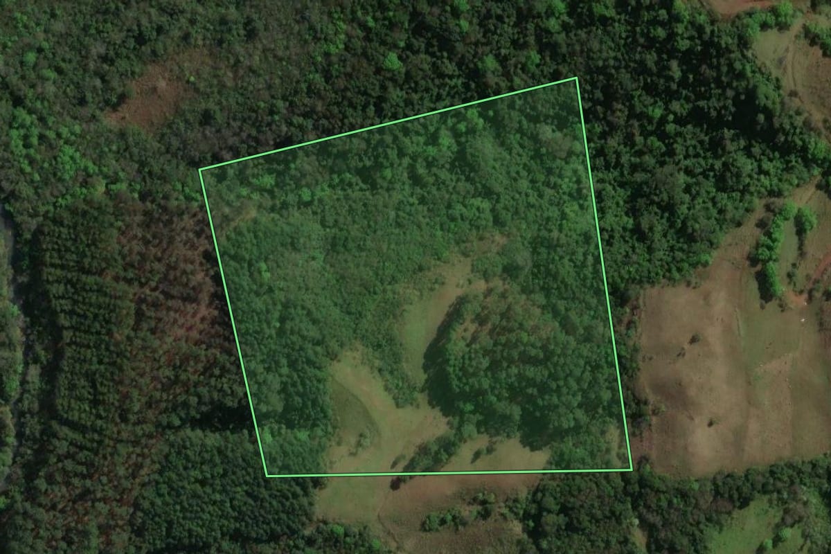 Imagem de satélite do imóvel rural em Nonoai (RS), com o contorno declarado no CAR desenhado por cima.