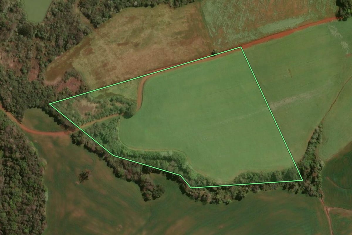 Imagem de satélite do imóvel rural em Nonoai (RS), com o contorno declarado no CAR desenhado por cima.
