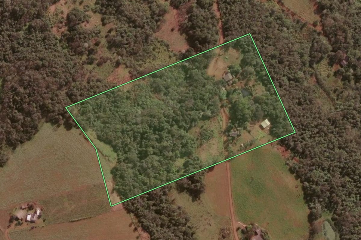 Imagem de satélite do imóvel rural em Nonoai (RS), com o contorno declarado no CAR desenhado por cima.