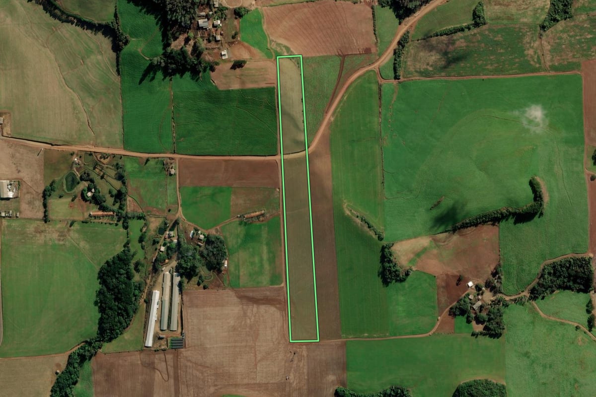 Imagem de satélite do imóvel rural em Nova Alvorada (RS), com o contorno declarado no CAR desenhado por cima.