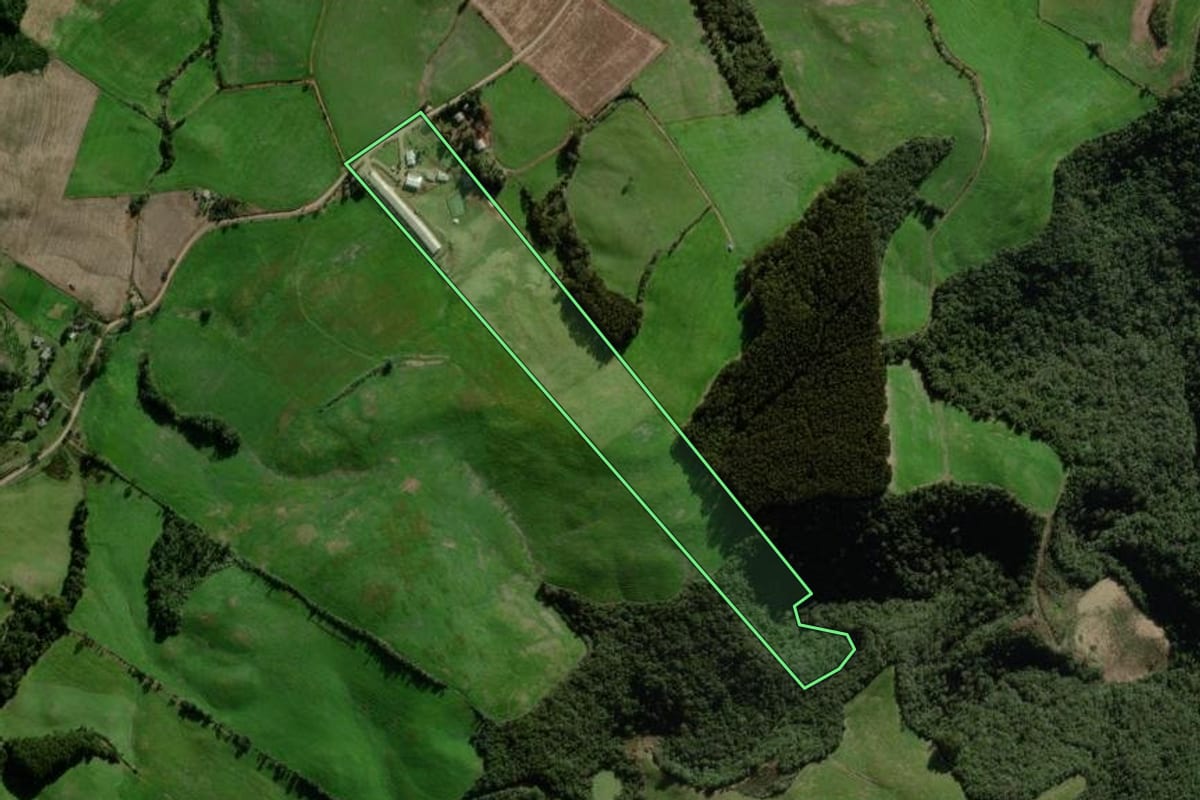 Imagem de satélite do imóvel rural em Nova Alvorada (RS), com o contorno declarado no CAR desenhado por cima.
