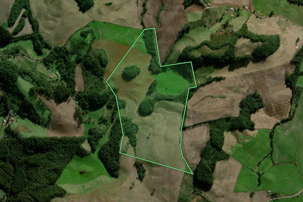 Imagem de satélite do imóvel rural em Nova Alvorada (RS), com o contorno declarado no CAR desenhado por cima.