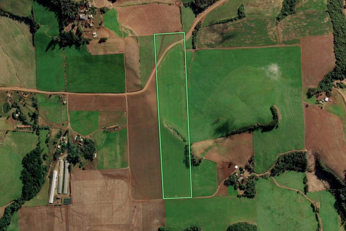Imagem de satélite do imóvel rural em Nova Alvorada (RS), com o contorno declarado no CAR desenhado por cima.