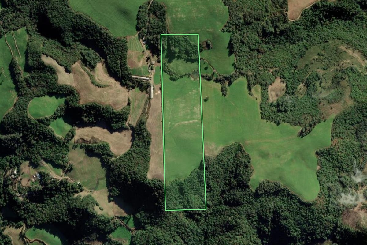 Imagem de satélite do imóvel rural em Nova Alvorada (RS), com o contorno declarado no CAR desenhado por cima.