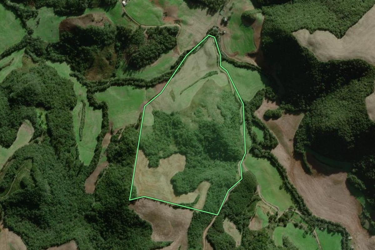 Imagem de satélite do imóvel rural em Nova Alvorada (RS), com o contorno declarado no CAR desenhado por cima.
