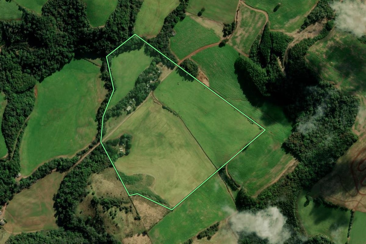 Imagem de satélite do imóvel rural em Nova Alvorada (RS), com o contorno declarado no CAR desenhado por cima.