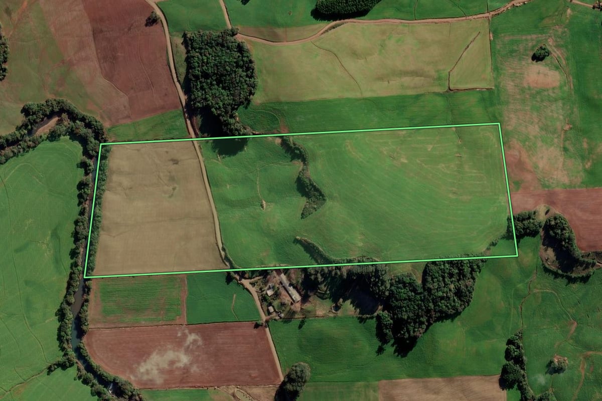 Imagem de satélite do imóvel rural em Nova Alvorada (RS), com o contorno declarado no CAR desenhado por cima.