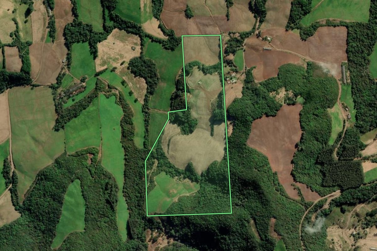 Imagem de satélite do imóvel rural em Nova Alvorada (RS), com o contorno declarado no CAR desenhado por cima.