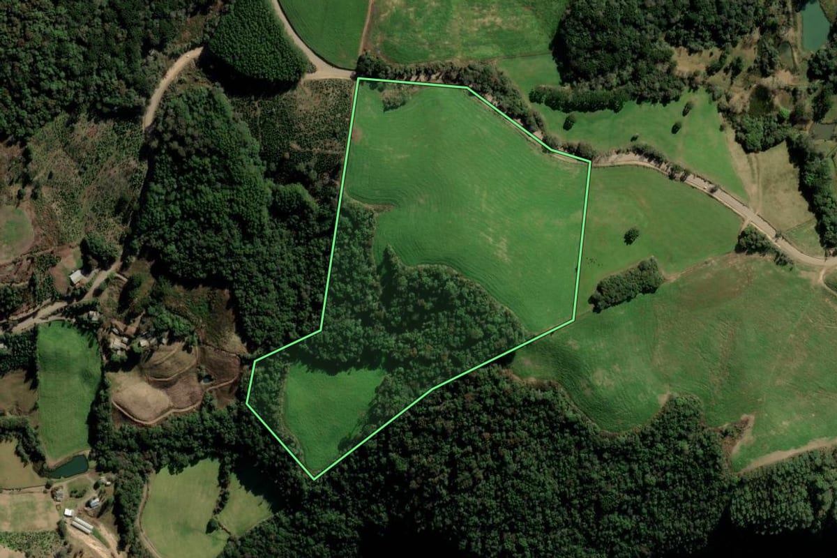 Imagem de satélite do imóvel rural em Nova Alvorada (RS), com o contorno declarado no CAR desenhado por cima.
