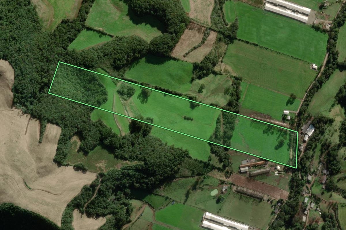 Imagem de satélite do imóvel rural em Nova Alvorada (RS), com o contorno declarado no CAR desenhado por cima.