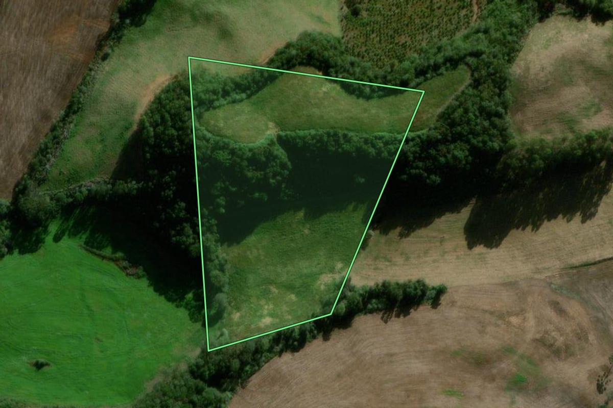 Imagem de satélite do imóvel rural em Nova Alvorada (RS), com o contorno declarado no CAR desenhado por cima.