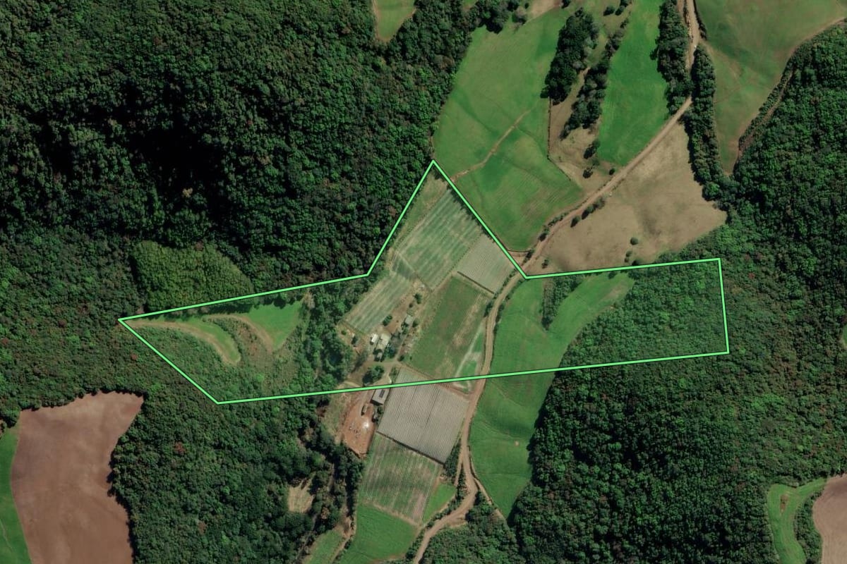 Imagem de satélite do imóvel rural em Nova Alvorada (RS), com o contorno declarado no CAR desenhado por cima.