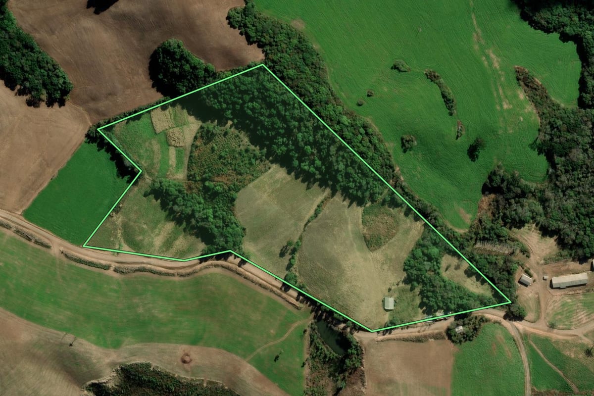 Imagem de satélite do imóvel rural em Nova Alvorada (RS), com o contorno declarado no CAR desenhado por cima.