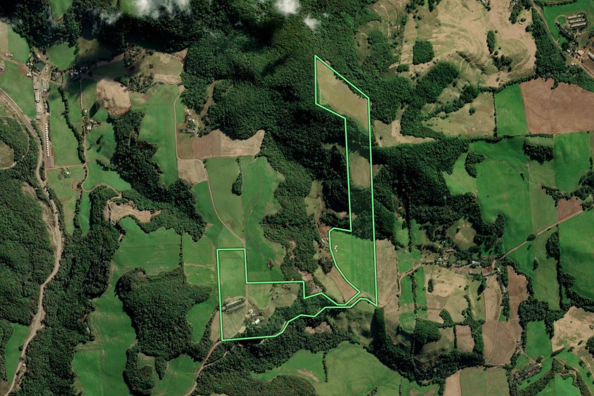 Imagem de satélite do imóvel rural em Nova Alvorada (RS), com o contorno declarado no CAR desenhado por cima.