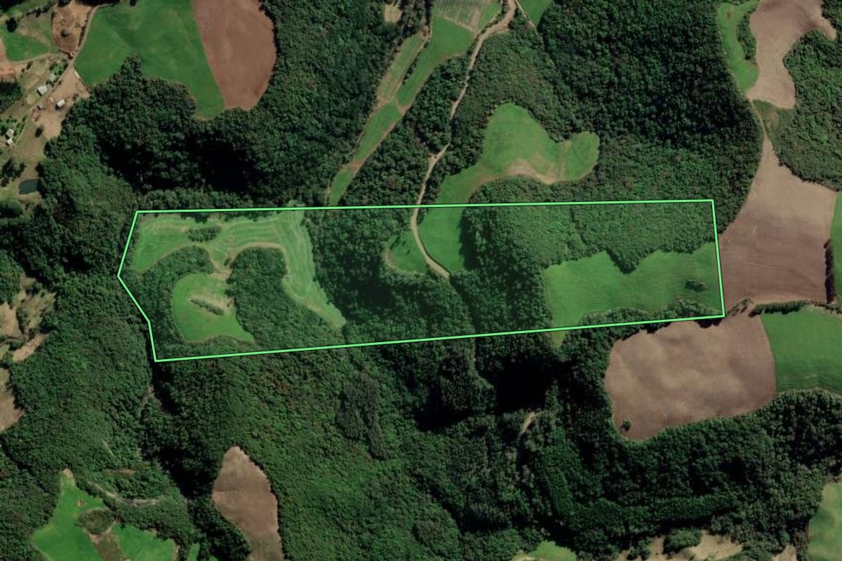 Imagem de satélite do imóvel rural em Nova Alvorada (RS), com o contorno declarado no CAR desenhado por cima.