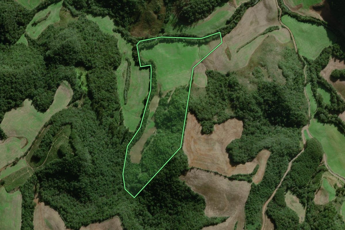 Imagem de satélite do imóvel rural em Nova Alvorada (RS), com o contorno declarado no CAR desenhado por cima.