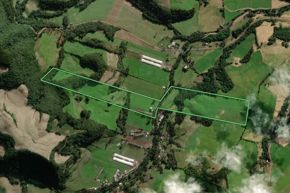 Imagem de satélite do imóvel rural em Nova Alvorada (RS), com o contorno declarado no CAR desenhado por cima.