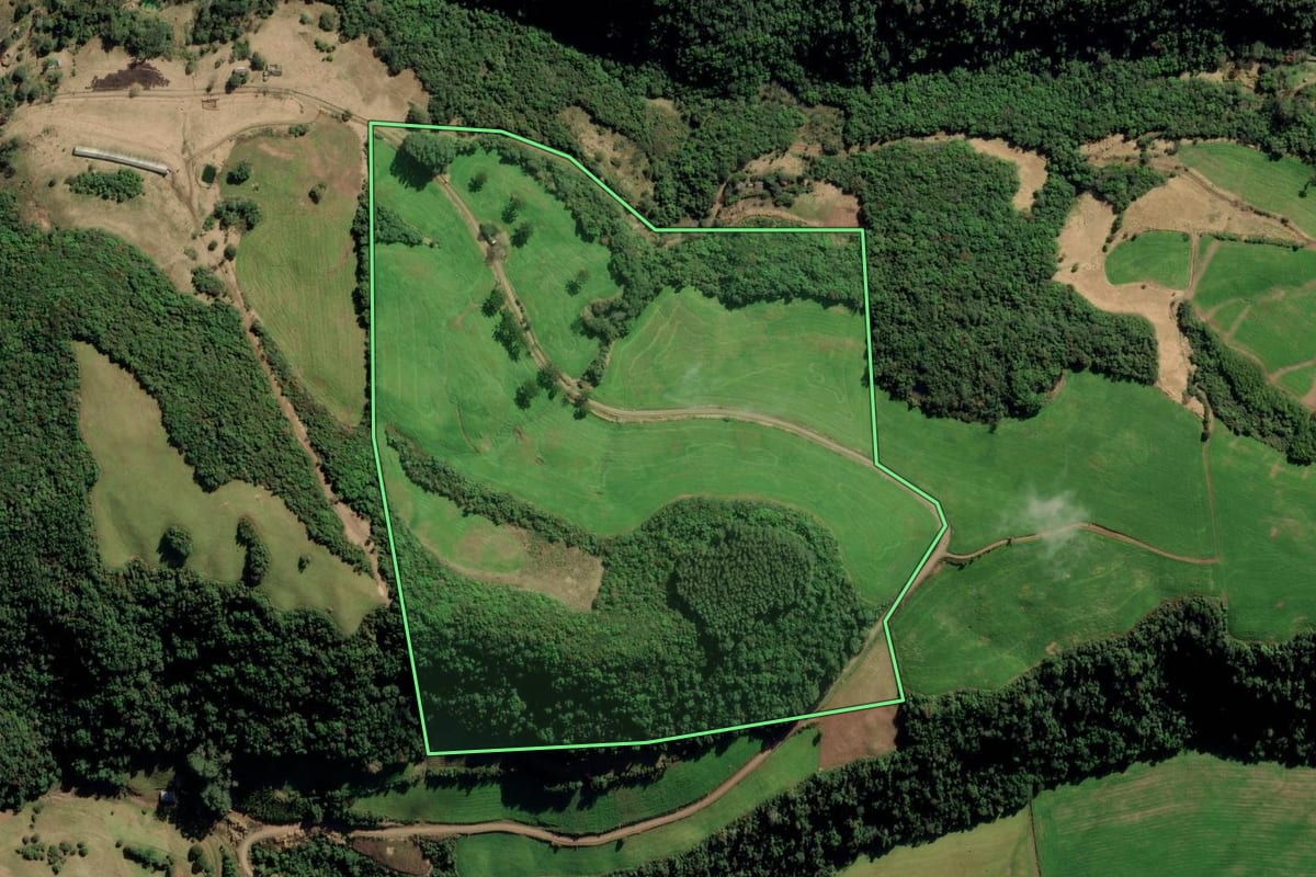 Imagem de satélite do imóvel rural em Nova Alvorada (RS), com o contorno declarado no CAR desenhado por cima.