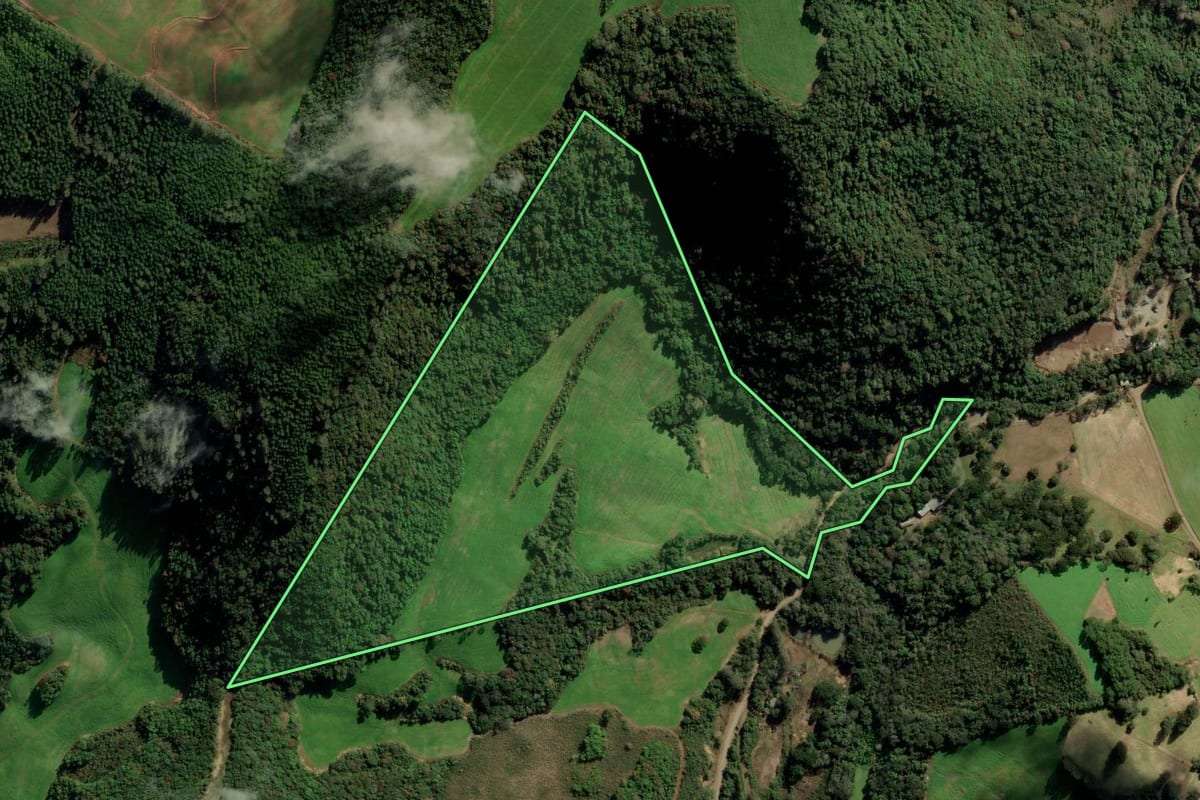 Imagem de satélite do imóvel rural em Nova Alvorada (RS), com o contorno declarado no CAR desenhado por cima.