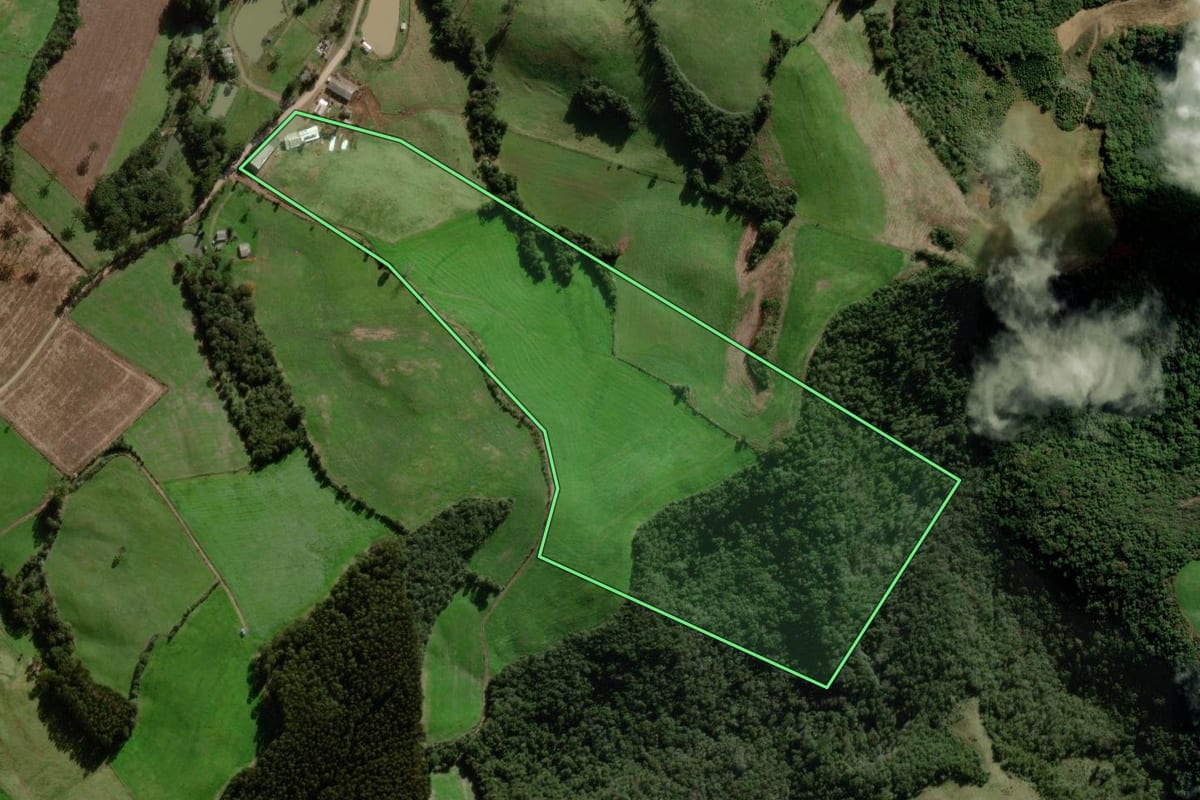 Imagem de satélite do imóvel rural em Nova Alvorada (RS), com o contorno declarado no CAR desenhado por cima.